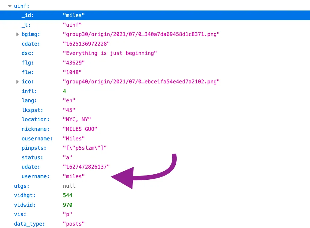 json with username field