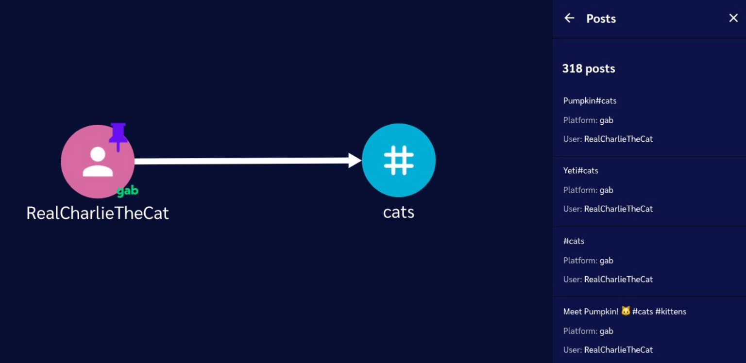 close up of network graph